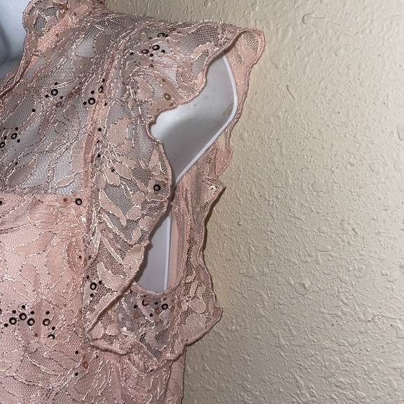 NWT Alex B beautiful elegant lace sequins dress pink size 8 - Picture 4 of 10